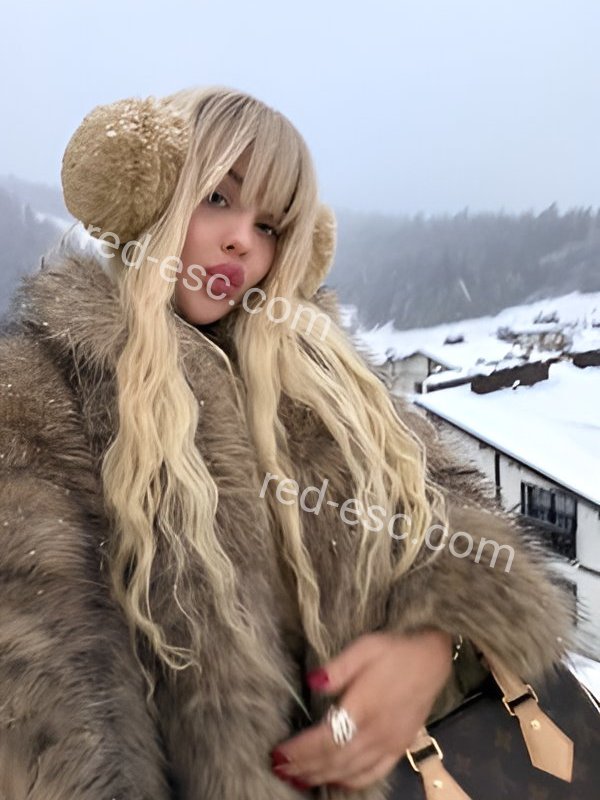 АДЕЛЬ — Ставрополь
